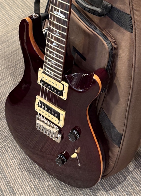 P.R.S. SE Custom 24の画像